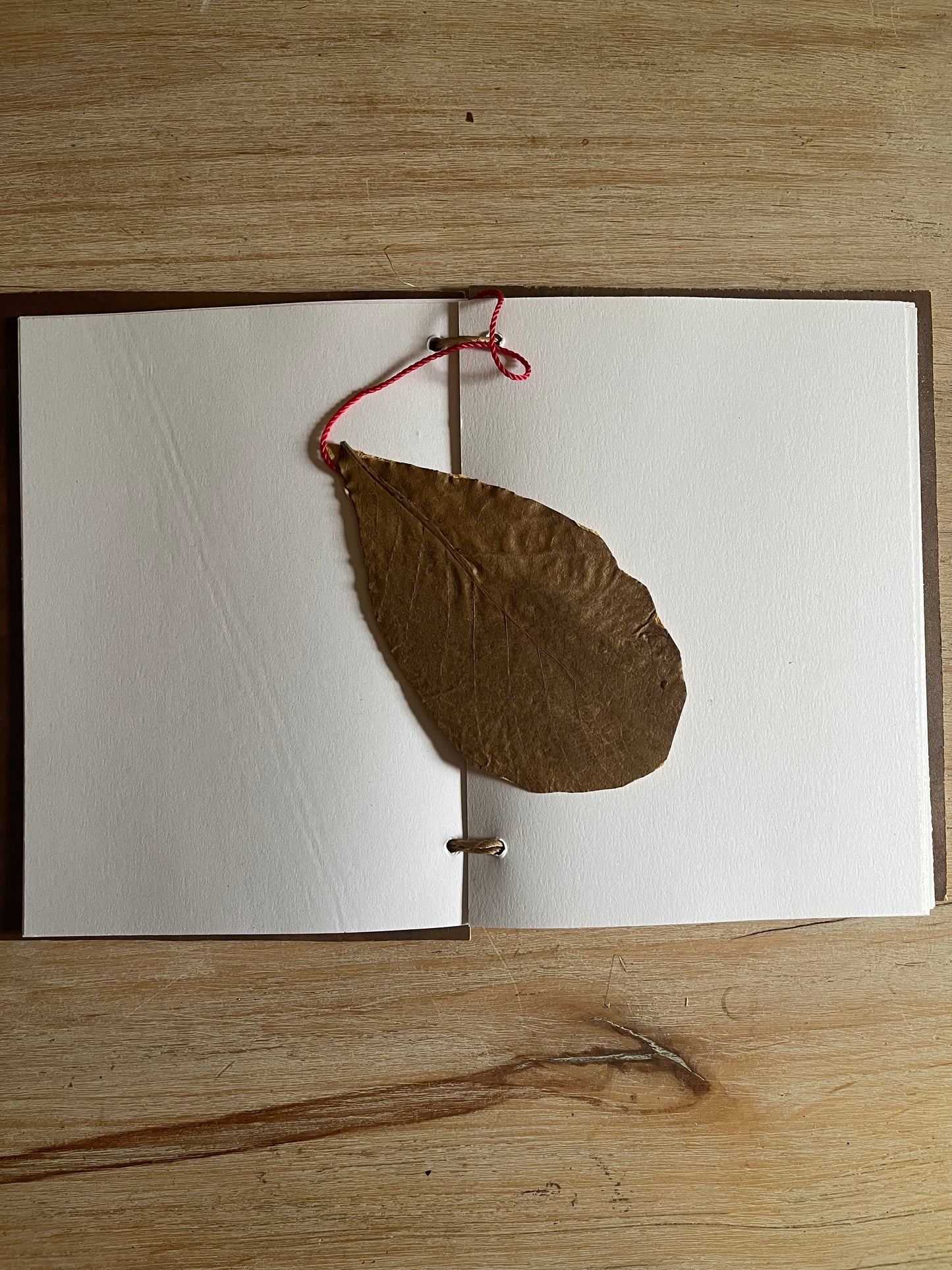 Notebook Journals