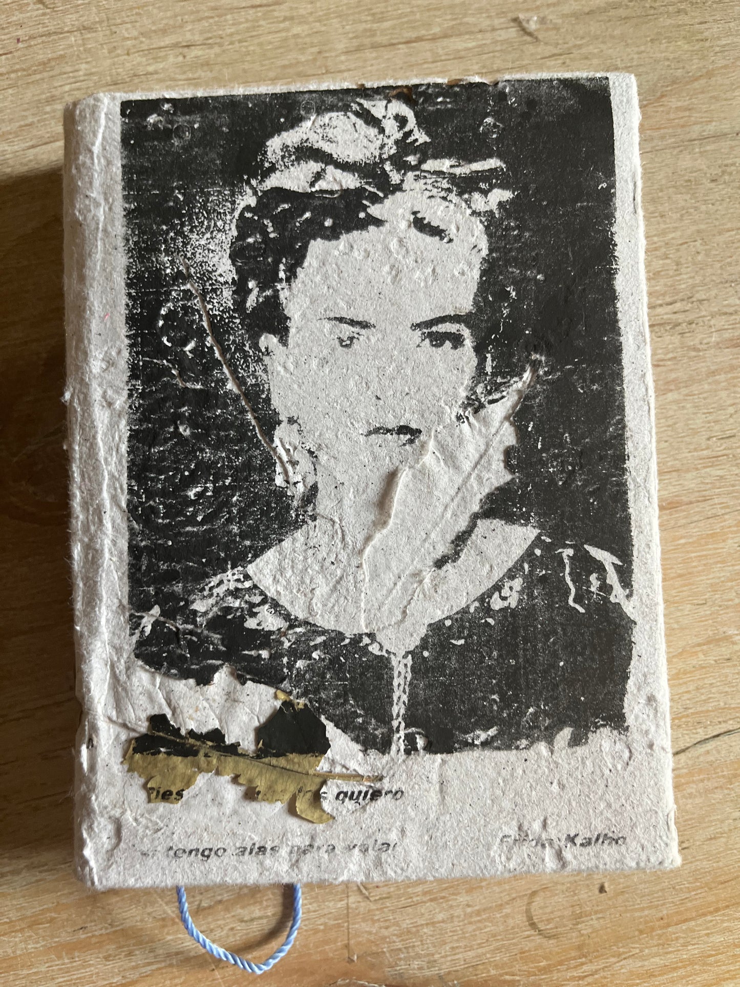 Frida Journals