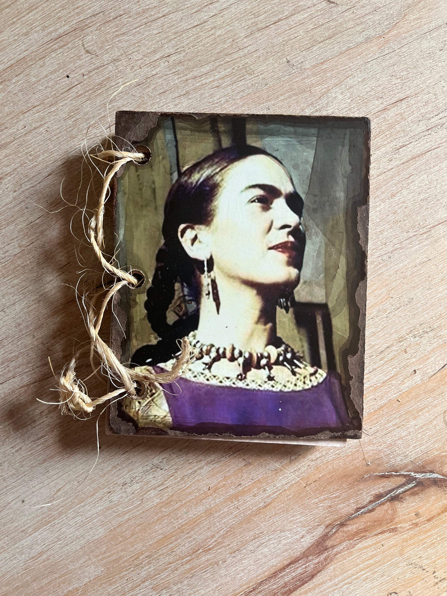 Frida Journals