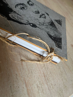Frida Notebooks